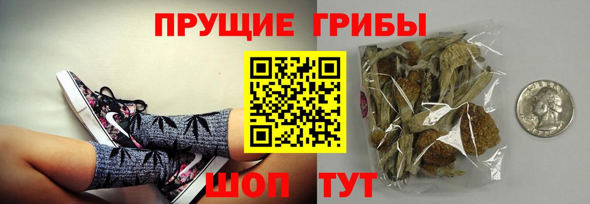 Псилоцибиновые грибы Cubensis  Вход с VPN  цены   Топки 